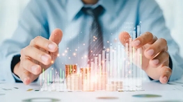 Global Investment Consultation